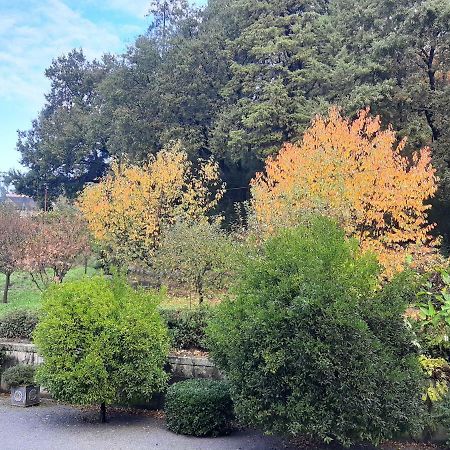 Casa Da Espinhosa Bed & Breakfast Guimaraes Luaran gambar