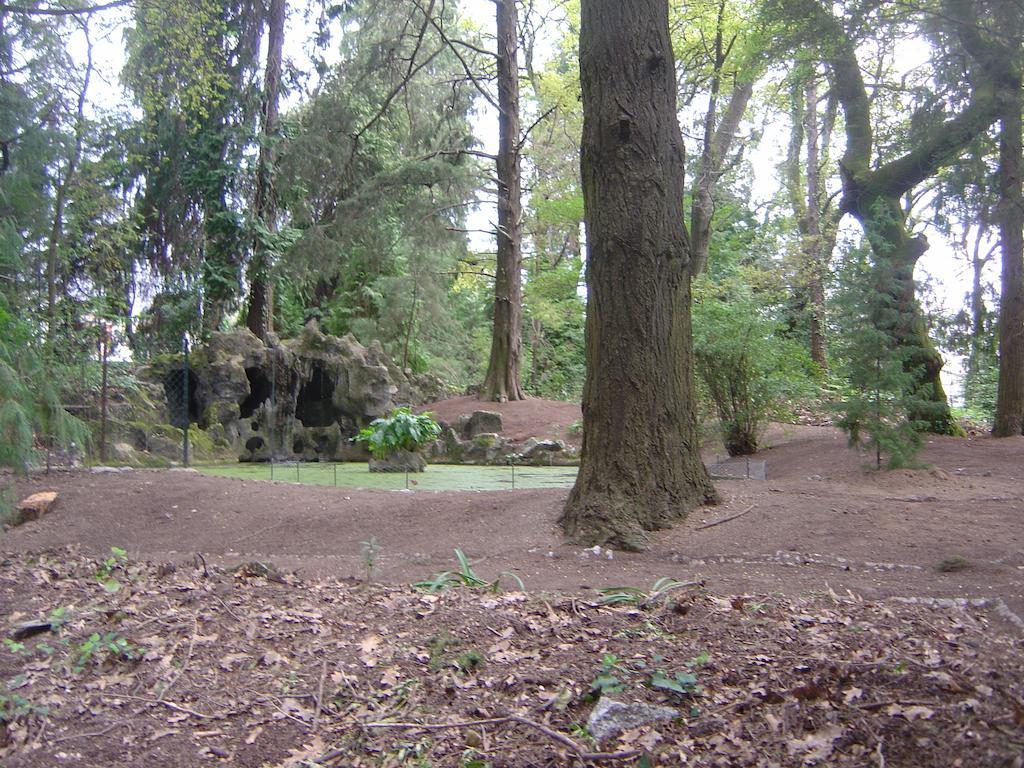 Casa Da Espinhosa Bed & Breakfast Guimaraes Luaran gambar